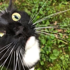 Meet your Posher, Abby